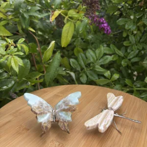 Vlinder met Amazoniet vleugels
